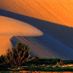photo "Dunes 5"