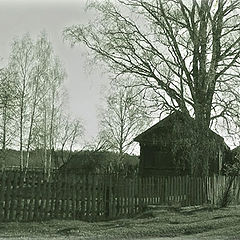 фото "Тоскливо"