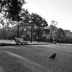 photo "St. James Park in the Fall"