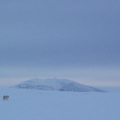 photo "Silence"