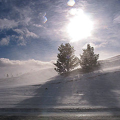 photo "Sunny storm"