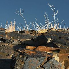 фото "Rock-Art"