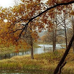 photo "Sad autumn"