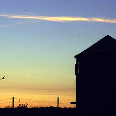 фото "sunset in Apulia"