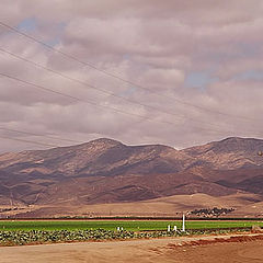 photo "Colourful California hills"