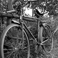 photo "Bicicleta"