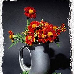 фото "Cup of Flowers"