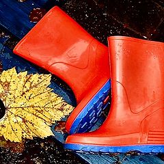 фото "red wellies"