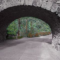 photo "Through The Tunnel"