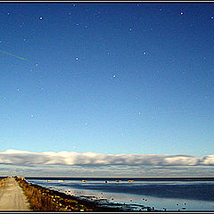 photo "Leonids"