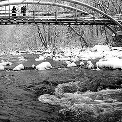 photo "Snow walk on the bridge"