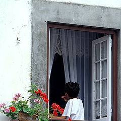 фото "Rear Window"