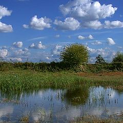 photo "The end of a summer"