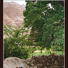 photo "Relaxing in the shadow of Himalayan noon.."