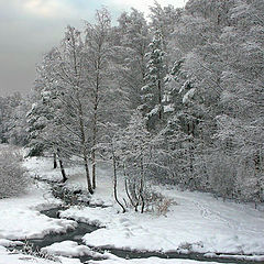 photo "Winter stream"
