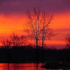 photo "Red Sunset"