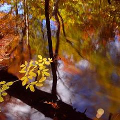 фото "Fall"