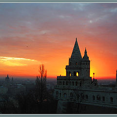 photo "glance in morning"