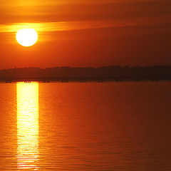 photo "Rest in red"