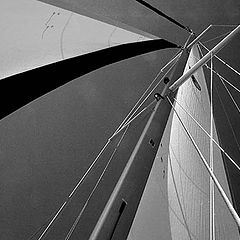 photo "Sails"