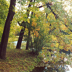 photo "Autumn in Pushkin"