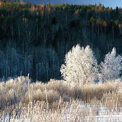 photo "In a valley..."