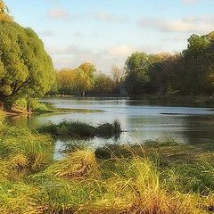 photo "Pond in October"