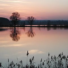 photo "Sunset mirror"