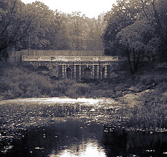 фото "an antique pond"