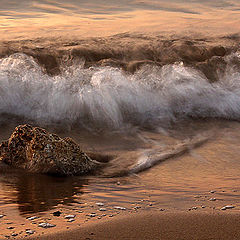 photo "By the shore..."