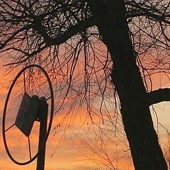 photo "A Minnesota Sunset"