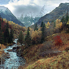 photo "Autumnal calendar. October 16, 2002."