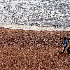 фото "Walking on the beach"
