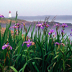 фото "Brier Island, Nova Scotia"