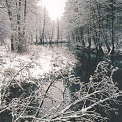 photo "Winter river"