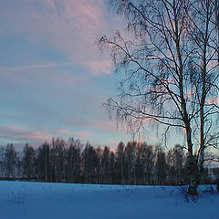 photo "Winter evening"