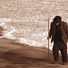 photo "Seaside wander"