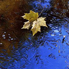 photo "Crystal mirror and maple sheet"