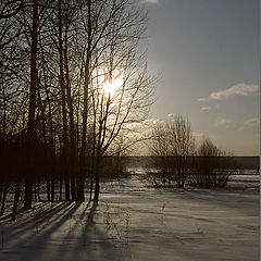 photo "The winter sun"