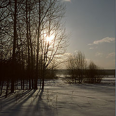 фото "Зимнее солнышко"