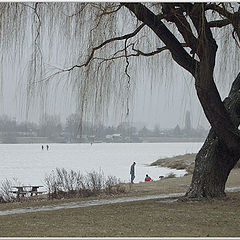 photo "Old Danube"