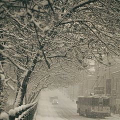 photo "First snow in Moscow. Boulevard"