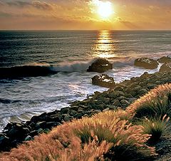 фото "Fishing in the Pacific Ocean"