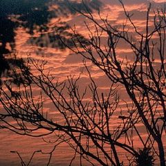 фото "atardecer desde mi balcуn"