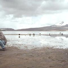 photo "lake chungara (4,250 mt)"