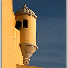 photo "Sentinel"