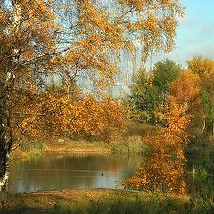 photo "Simple autumn etude"