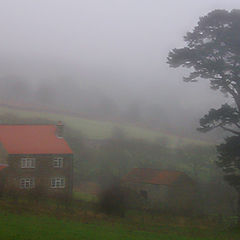 photo "Yorkshire mist"