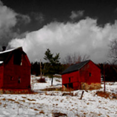 фото "Red Barns, Sussex"