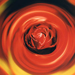 фото "Mystical Rose"